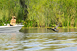 Birding Photo