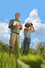 Birding Stock Photo