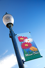 Day Trip Stock Photo