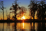 Ecotourism Photo