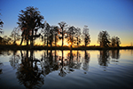 Ecotourism Photo