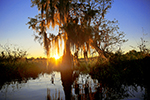Ecotourism Photo