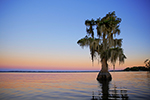 Ecotourism Photo