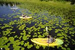 Ecotourism Photo