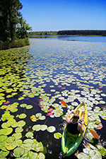 Ecotourism Stock Photo