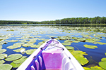 Ecotourism Photo