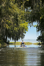 Ecotourism Stock Photo