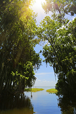 Ecotourism Stock Photo