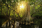 Ecotourism Photo