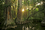 Ecotourism Stock Photo