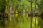 Ecotourism Stock Photo