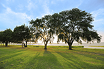 Ecotourism Stock Photo