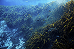 Ecotourism Stock Photo