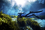 Ecotourism Stock Photo