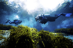 Ecotourism Stock Photo