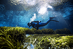 Ecotourism Stock Photo