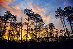 Ecotourism Stock Photo