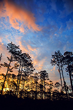 Ecotourism Stock Photo