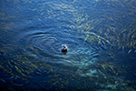 Ecotourism Stock Photo