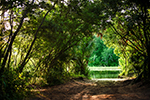 Ecotourism Stock Photo
