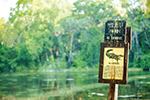 Ecotourism Stock Photo