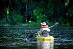 Ecotourism Stock Photo
