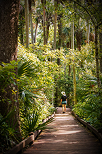 Ecotourism Stock Photo