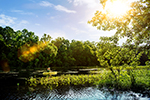 Ecotourism Stock Photo