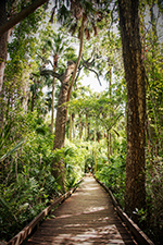 Ecotourism Stock Photo