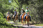 Ecotourism Stock Photo