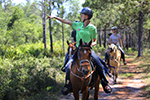 Ecotourism Stock Photo
