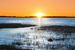 Ecotourism Stock Photo