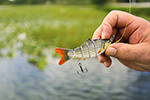 Fishing Photo