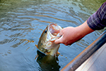 Fishing Stock Photo