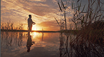 Fishing Stock Photo