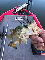 Fishing Stock Photo