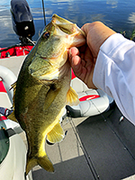 Fishing Stock Photo