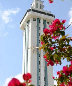 Citrus Tower, Clermont